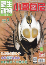 《小哥白尼•野生动物》