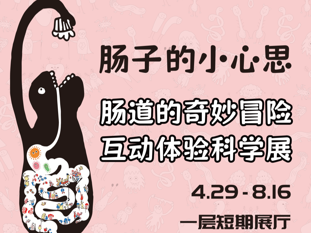 新展预告丨科普盛宴《肠子的小心思》中国首站登陆太阳城娱乐